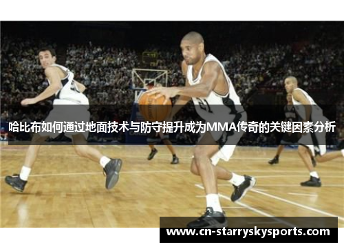 哈比布如何通过地面技术与防守提升成为MMA传奇的关键因素分析