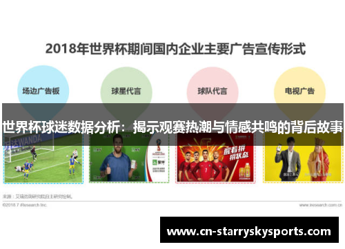 世界杯球迷数据分析：揭示观赛热潮与情感共鸣的背后故事