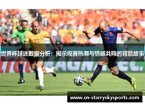 世界杯球迷数据分析：揭示观赛热潮与情感共鸣的背后故事