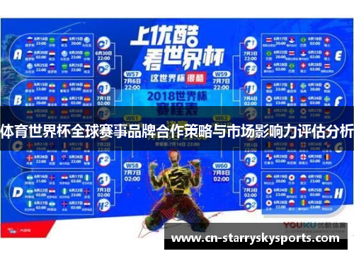 体育世界杯全球赛事品牌合作策略与市场影响力评估分析