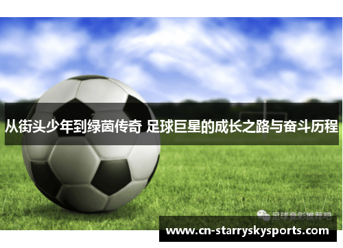 从街头少年到绿茵传奇 足球巨星的成长之路与奋斗历程