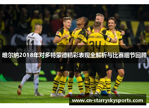 维尔纳2018年对多特蒙德精彩表现全解析与比赛细节回顾