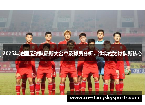 2025年法国足球队最新大名单及球员分析，谁将成为球队新核心