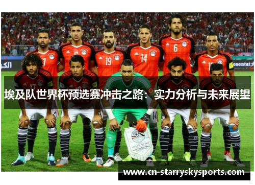 埃及队世界杯预选赛冲击之路：实力分析与未来展望