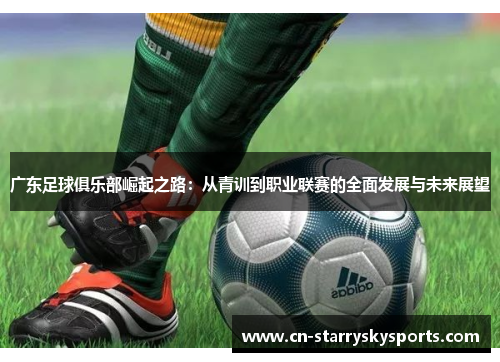 广东足球俱乐部崛起之路：从青训到职业联赛的全面发展与未来展望