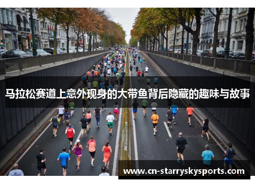 马拉松赛道上意外现身的大带鱼背后隐藏的趣味与故事